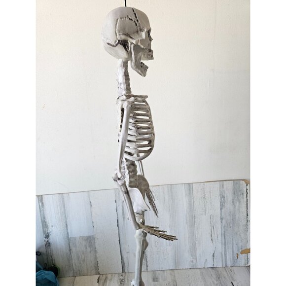 33" jointed hanging skeleton prop - Picture 5 of 9